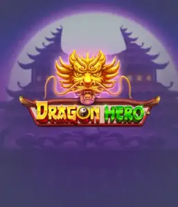 Отправьтесь в мифическое приключение с Dragon Hero Slot от Pragmatic Play, освещающей яркую графику древних драконов и эпических столкновений. Погрузитесь в мир, где легенда встречается с триллом, с представляющими зачарованных оружий, мистических существ и сокровищ для очаровательного слот-опыта.